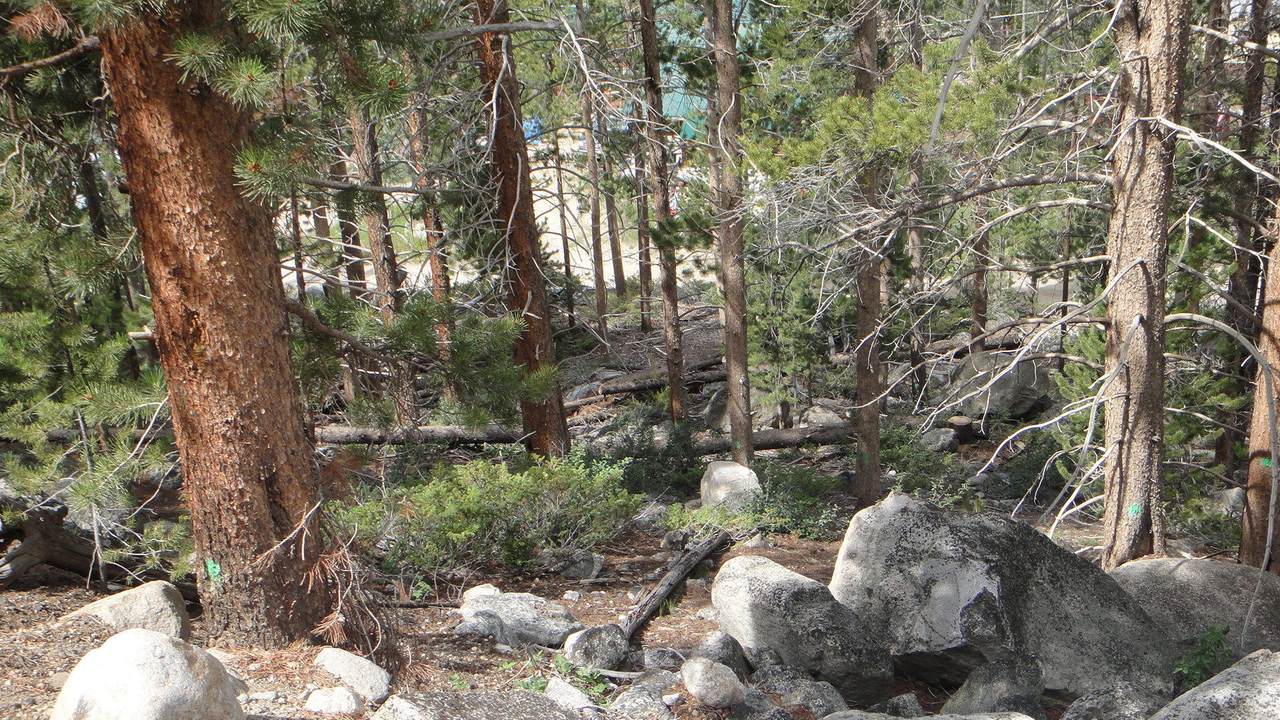 TBD Gcr 4631 - Photo 1