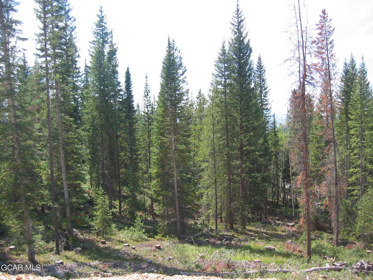 https://bt-photos.global.ssl.fastly.net/grand/1280_boomver_1_24-1401-2.jpg
