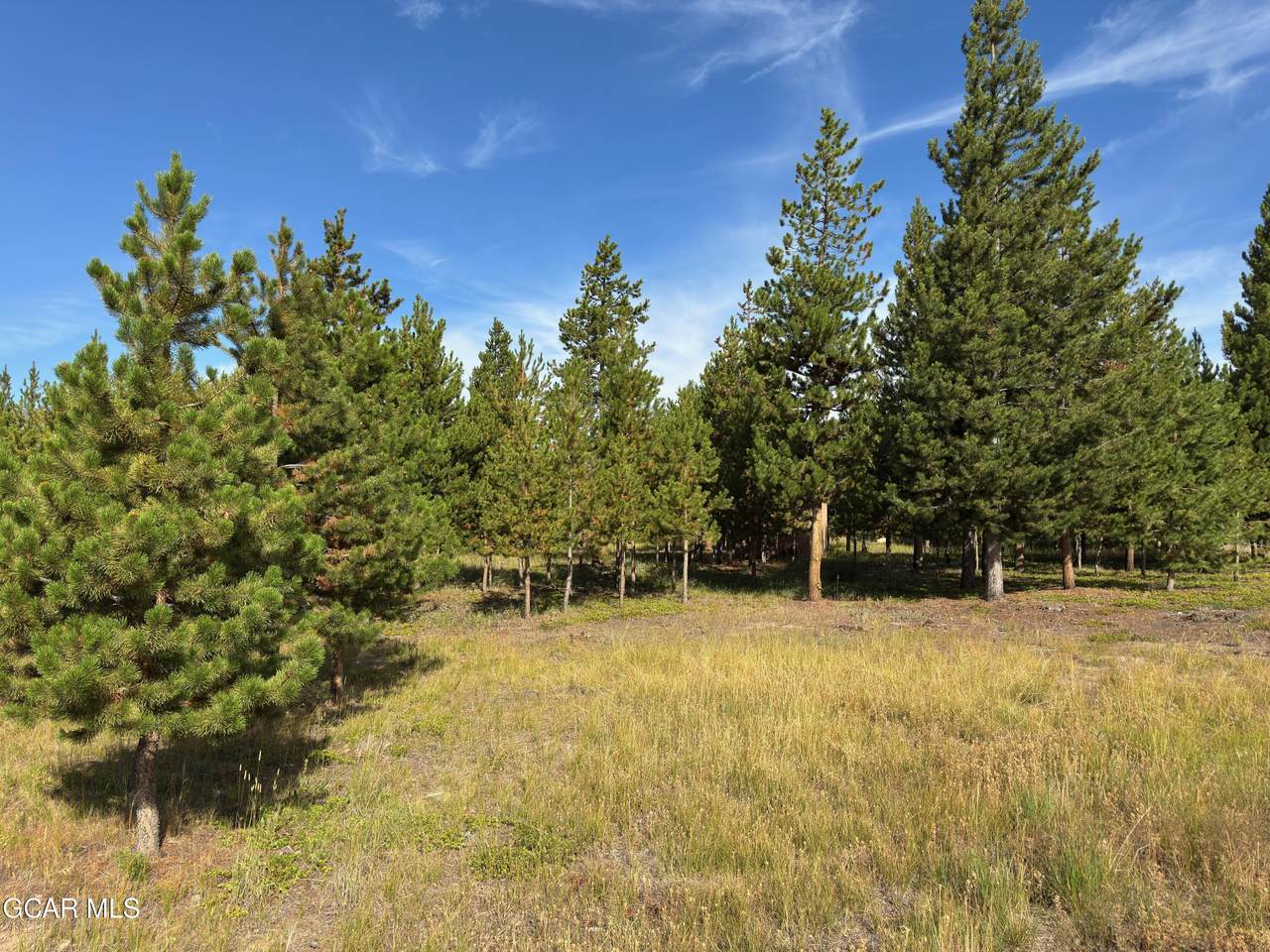 TBD Gcr 49 - Photo 1