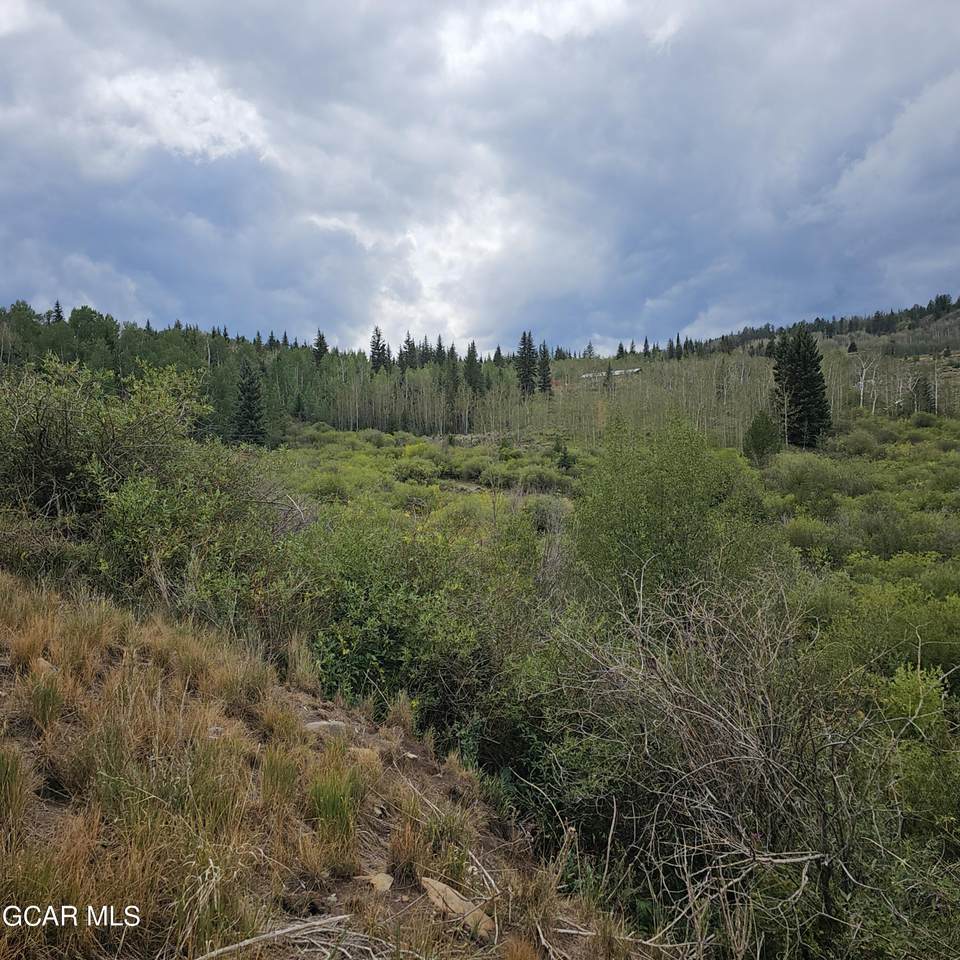 934 County Road 192 - Photo 1