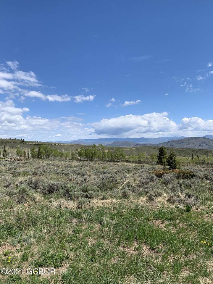 733 Spring Creek Road - Photo 1