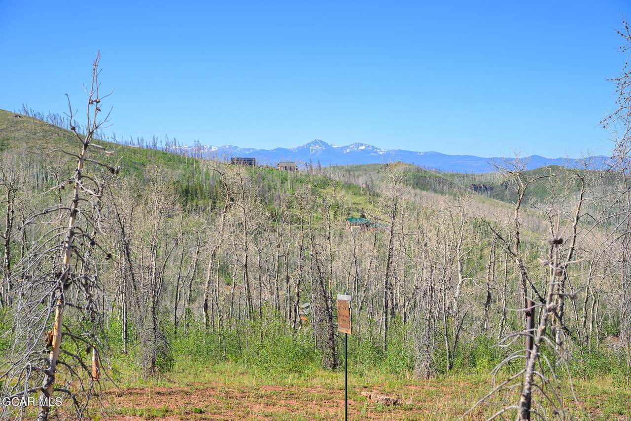 463 County Road 414 - Photo 1