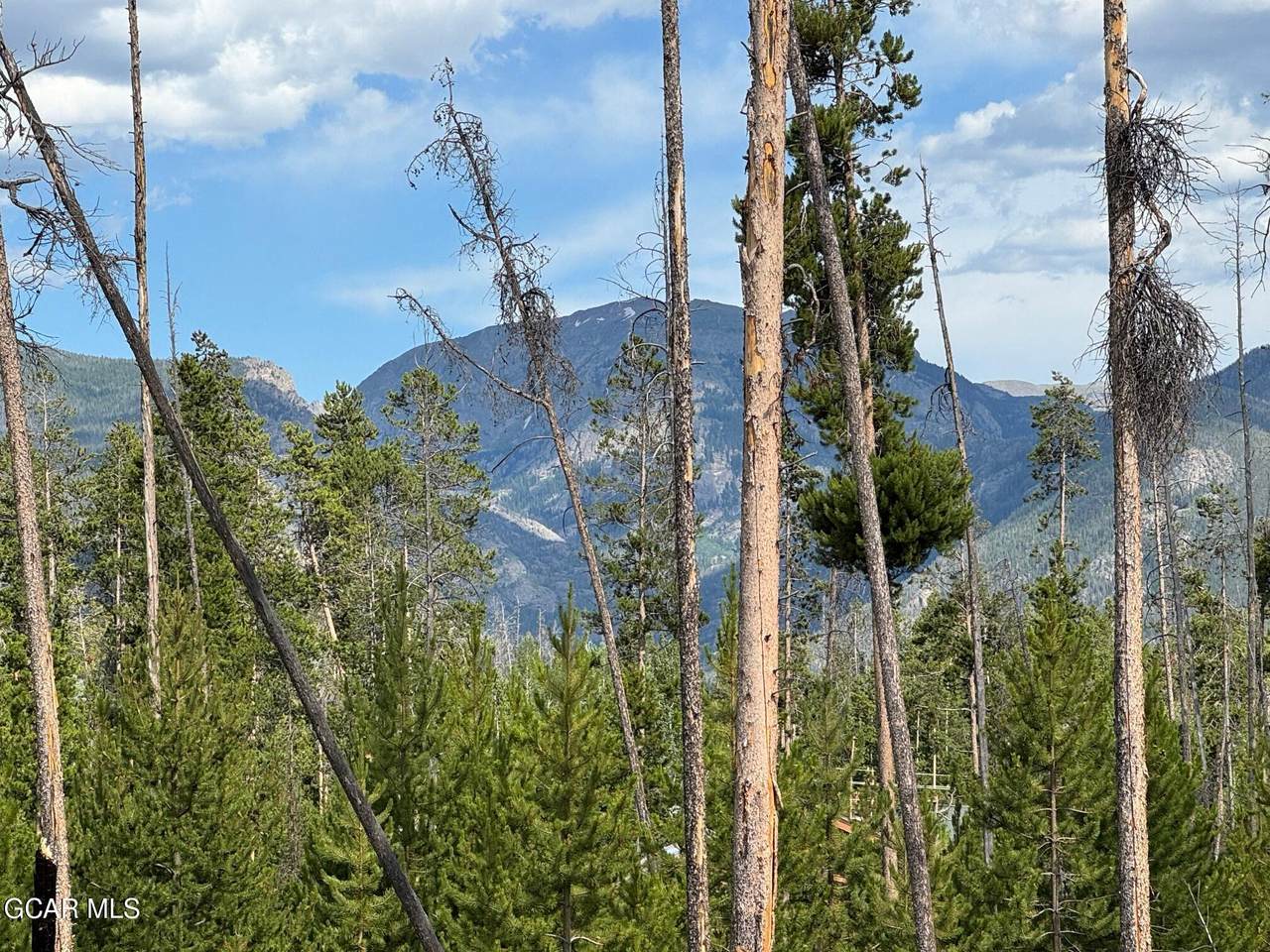 TBD Gcr 471 #2 - Photo 1