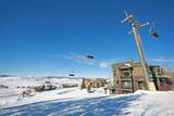 3201 Blue Sky Trail - Photo 18