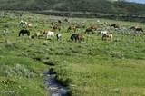 0341 Corral Trail - Photo 3