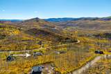 491 Grouse Road - Photo 39