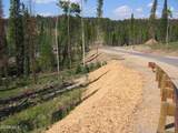 1545 Pioneer Trail - Photo 1