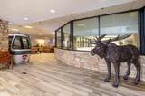 490 Kings Crossing Road - Photo 33