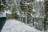 313 Iron Horse Way - Photo 21