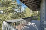920 Saddleback Drive - Photo 57