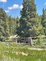 2509 Gcr 88 Drive - Photo 2