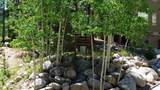 121 Elk Trail - Photo 2