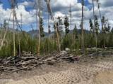 TBD Gcr 471 #2 - Photo 41