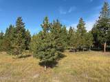 TBD Gcr 49 - Photo 4