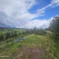 2308 County Road 19 - Photo 8