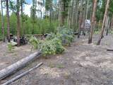 63 Gcr 499 - Photo 3