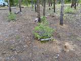 63 Gcr 499 - Photo 5
