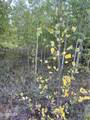 29 Gcr 4035 - Photo 13