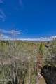551 Overlook Drive - Photo 56