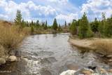 1620 County Rd 491 - Photo 41