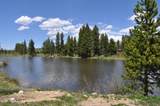 51 River Drive - Photo 42