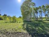 820 Expedition Lane - Photo 5