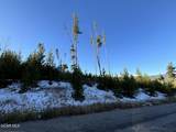245 Bridger Trace - Photo 3
