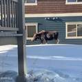 140 Sterling Loop - Photo 25