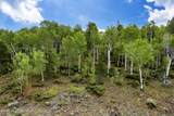 2975 Val Moritz Drive - Photo 1
