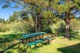 59 River Drive - Photo 16