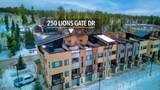 250 Lions Gate Drive - Photo 22