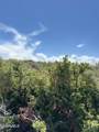1028 Gcr 6236N / Meadow Parkway - Photo 4