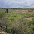 934 County Road 192 - Photo 3