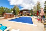 354 County Road 442 - Photo 43