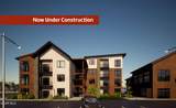 611 Zerex Street - Photo 11