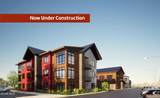 611 Zerex Street - Photo 12