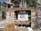 509 Red Quill Way - Photo 10