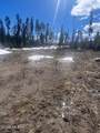 208 County Rd 4943/Primrose Ln - Photo 2