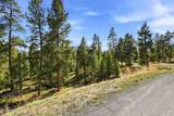 27 County Road 5113/Purple Sage - Photo 12