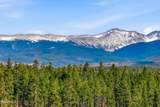 27 County Road 5113/Purple Sage - Photo 47