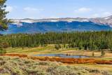 27 County Road 5113/Purple Sage - Photo 49