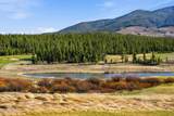 27 County Road 5113/Purple Sage - Photo 58