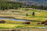 27 County Road 5113/Purple Sage - Photo 64
