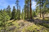 27 County Road 5113/Purple Sage - Photo 9