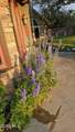 350 1ST Street - Photo 76
