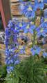350 1ST Street - Photo 82