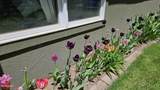 350 1ST Street - Photo 86