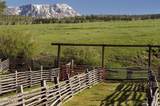 0341 Corral Trail - Photo 11