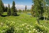 0341 Corral Trail - Photo 19