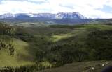 0341 Corral Trail - Photo 6